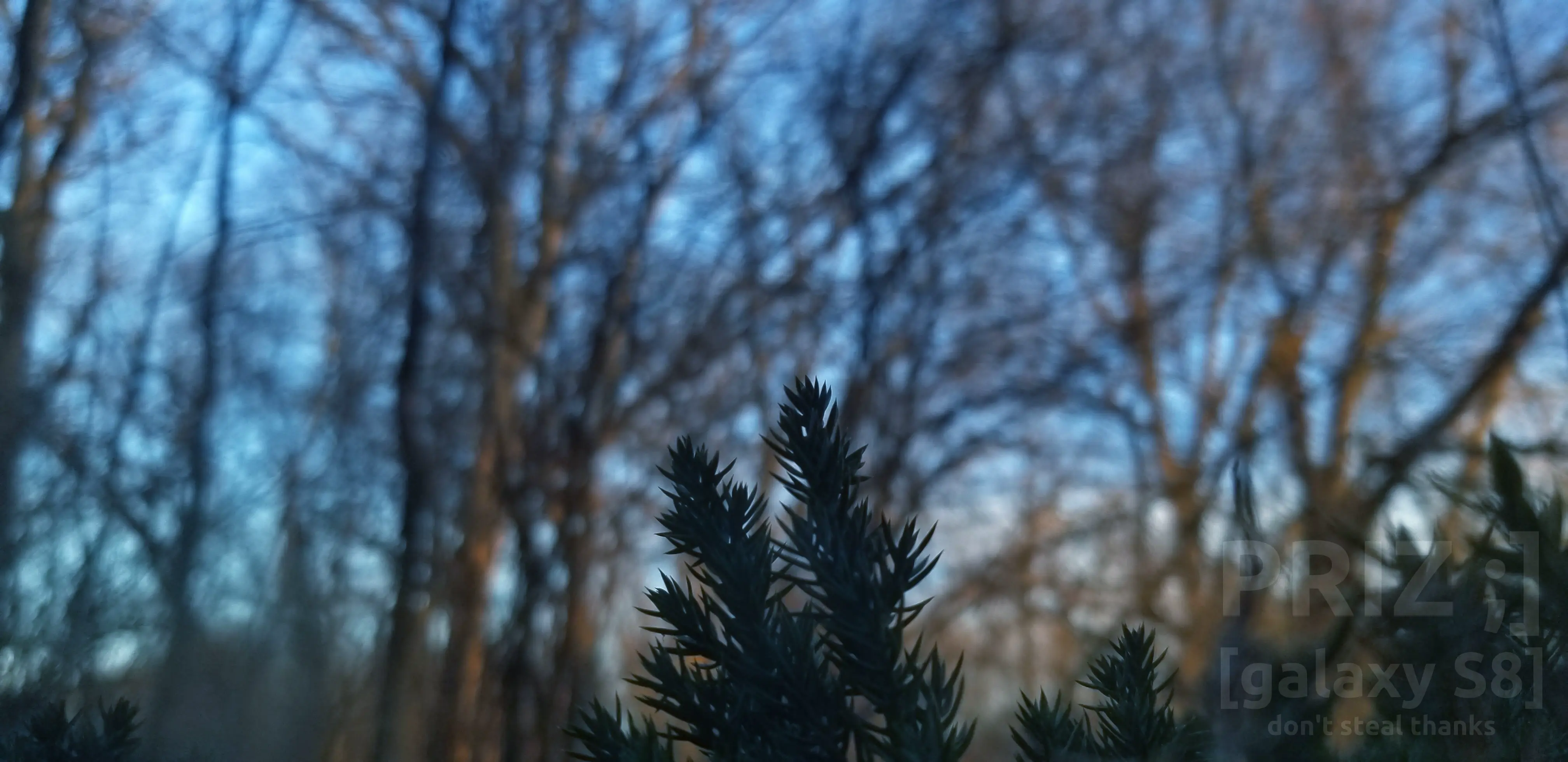 blurry-night.webp blurry-night.webp